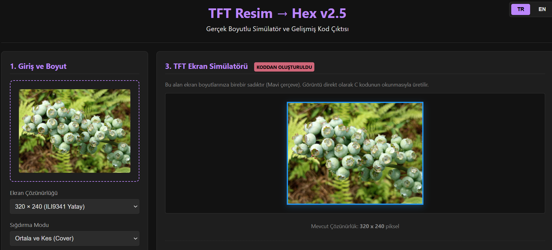 TFT Ekran Resim Dönüştürücü ve Simülatör | TFT Screen Image Converter & Simulator
